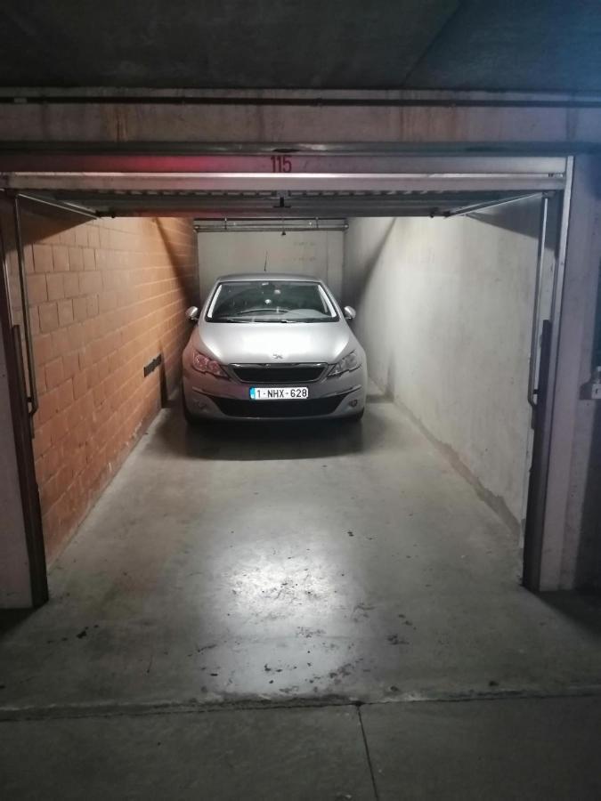 דירות Marjolaine Zeezicht - Nieuwpoort-Bad Met Gratis Garagebox מראה חיצוני תמונה